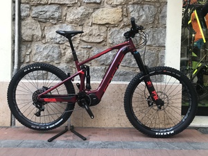 Focus e-bike Sam 2